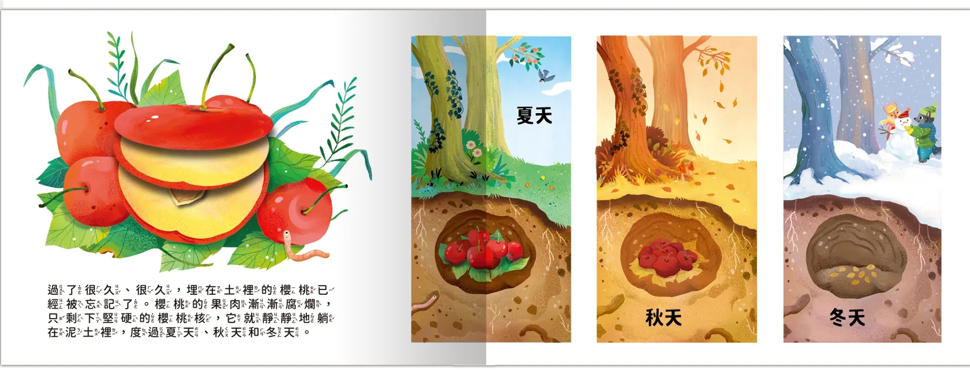 成長歷險立體繪本-森林裡的櫻桃樹